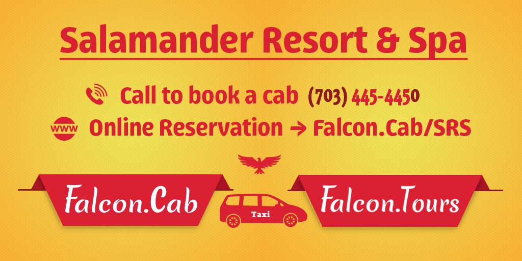 Falcon Cab & Falcon Tours - Call @ 703-445-4450