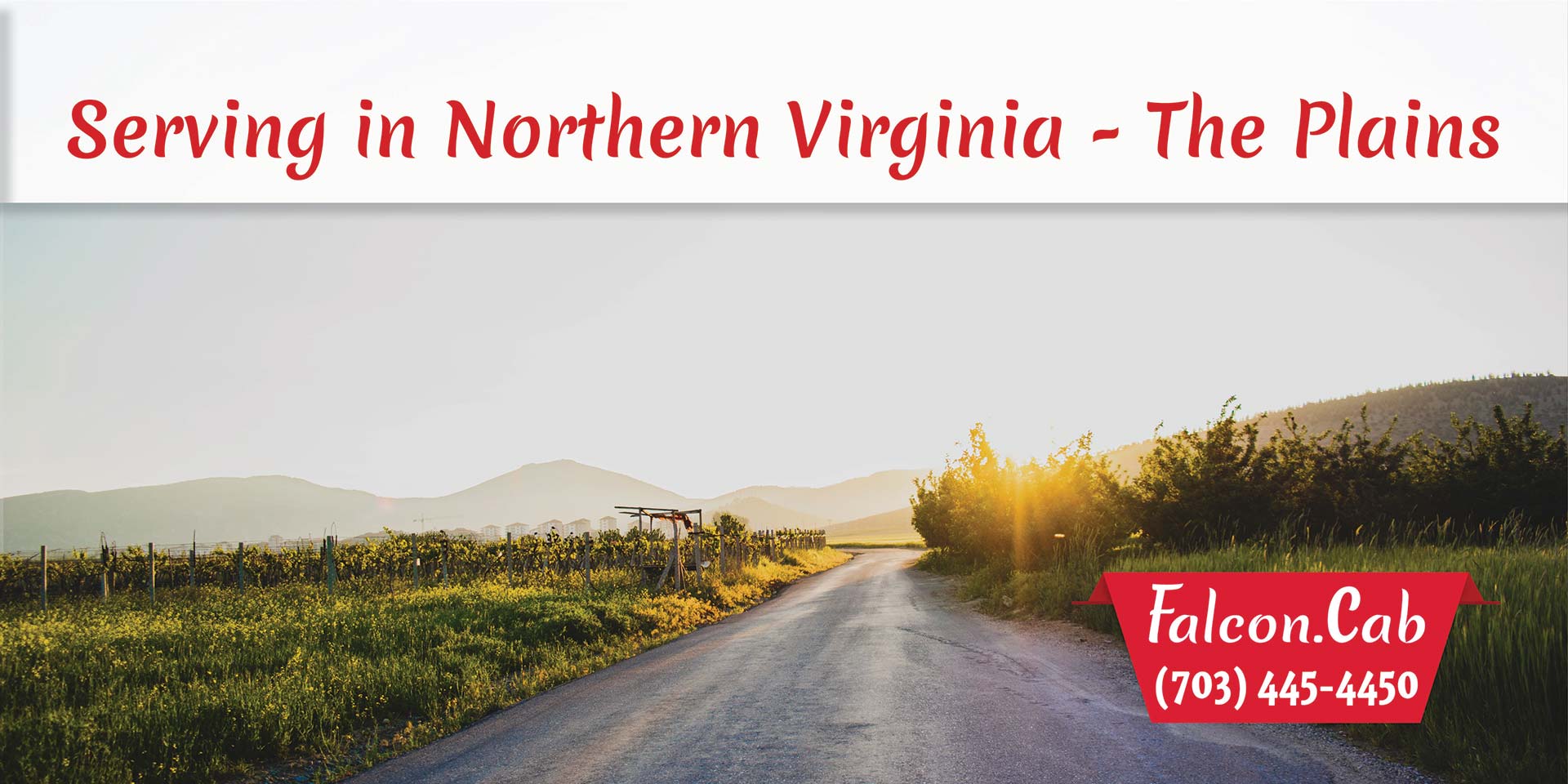 The Plains Taxi Cab | Serving in Northern Virginia | Call (703) 445-4450