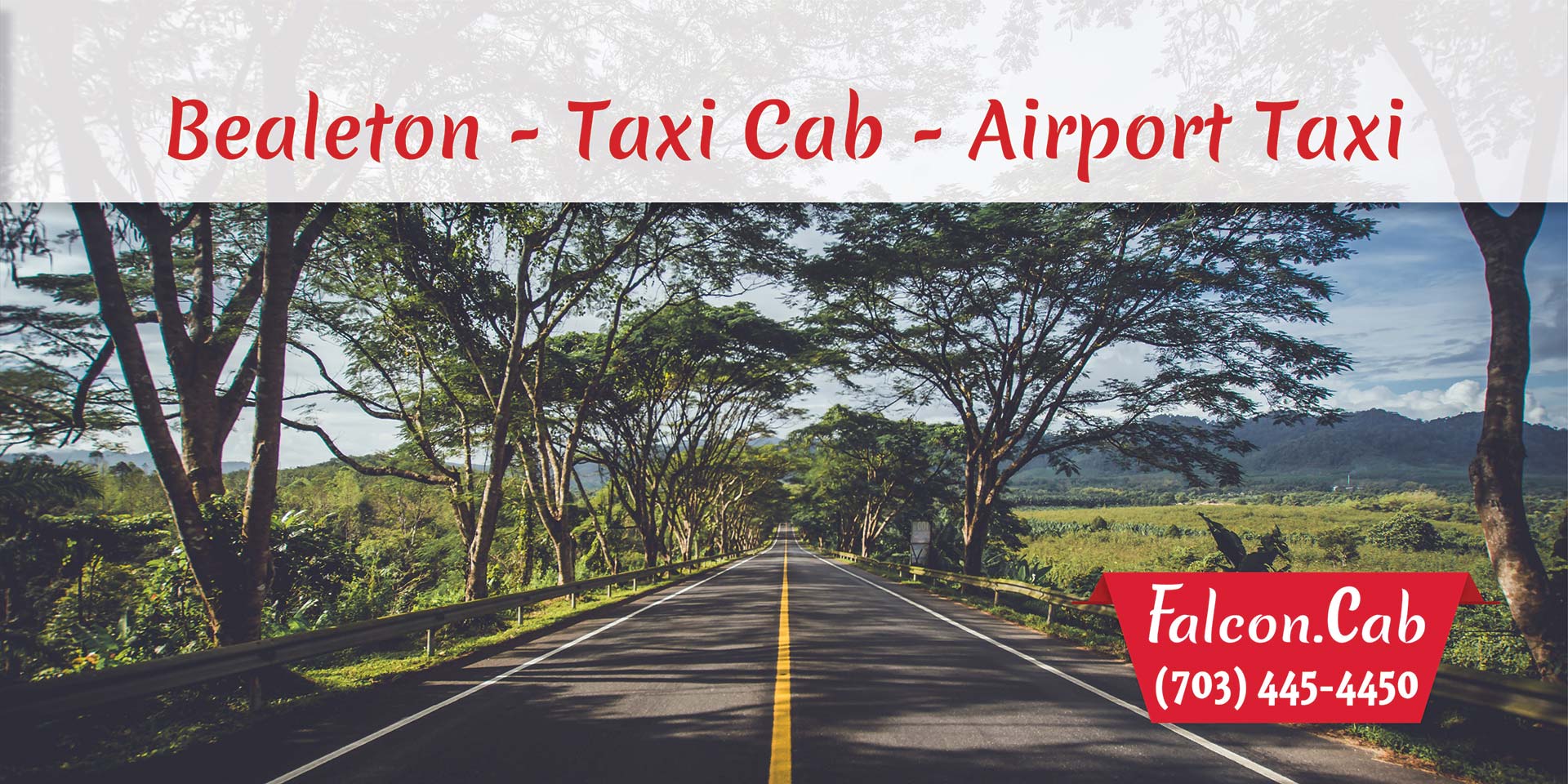 Bealeton Taxi Cab | Airport Taxi | Taxi in Bealeton, VA | Call (703) 445-4450