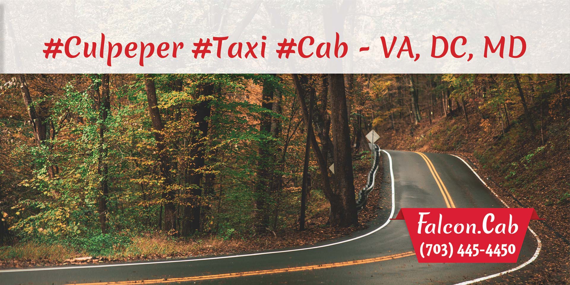 Culpeper Taxi Cab Serving in Virginia, DC, MD | Call (703) 445-4450