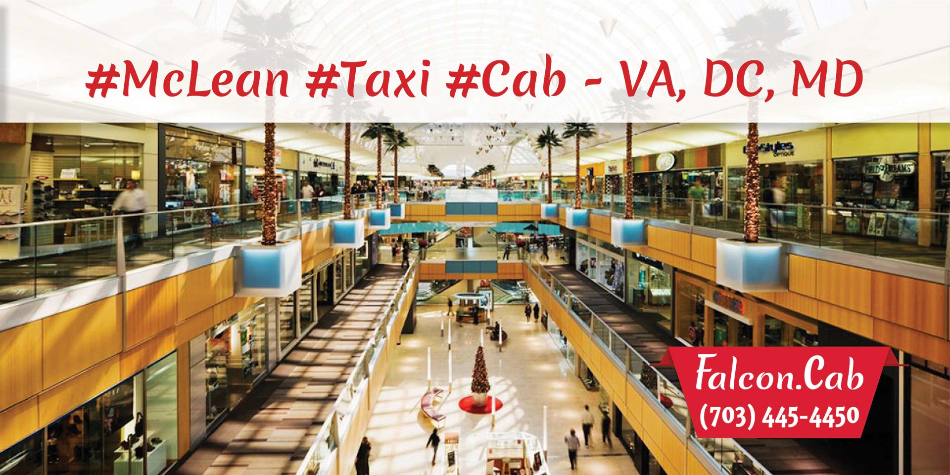 McLean Taxi Cab Serving in Virginia, DC, MD Call (703) 4454450