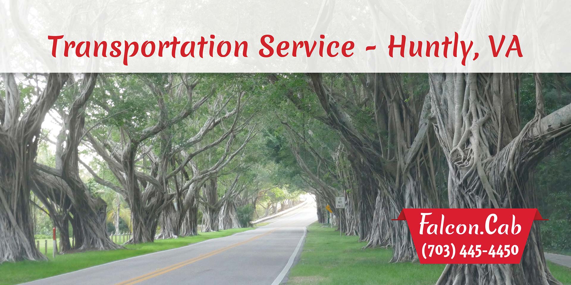 Falcon Cab - Transportation Service - Huntly