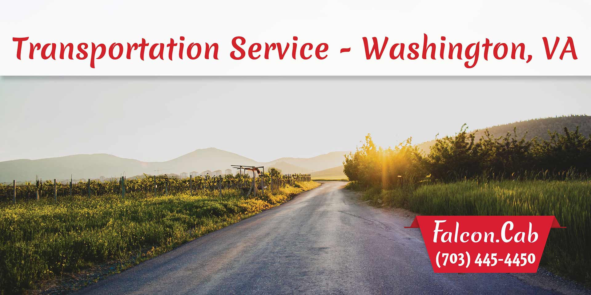 Falcon Cab - Transportation Service - Washington