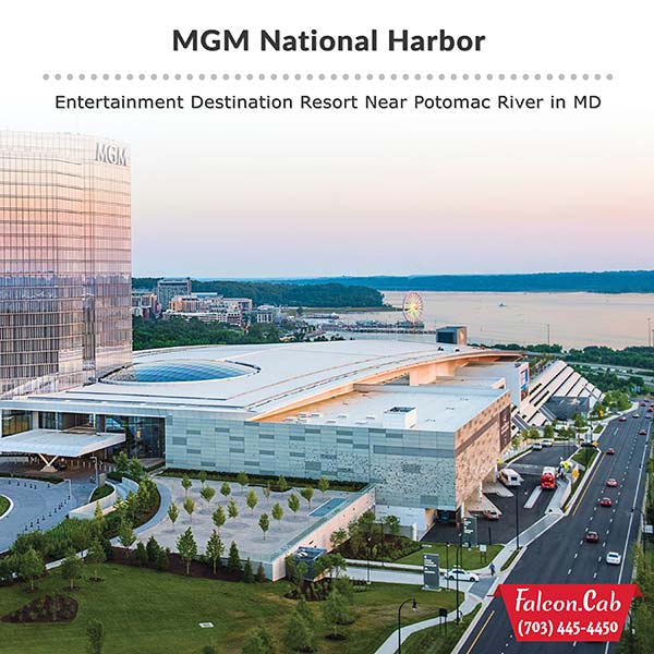 Falcon Cab & Falcon Tours - MGM National Harbor