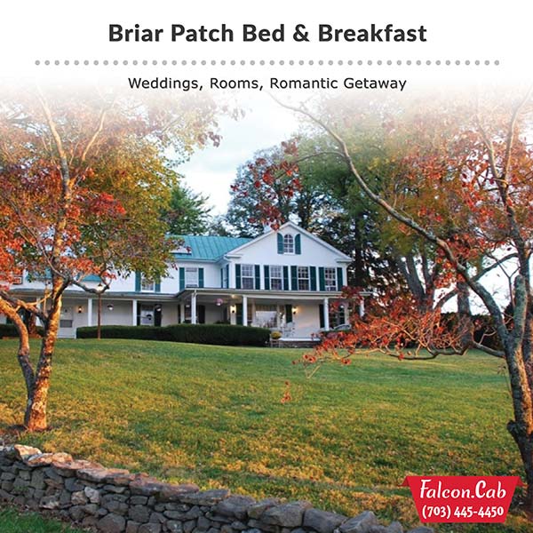 Falcon Cab & Falcon Tours - Briar Patch Bed & Breakfast