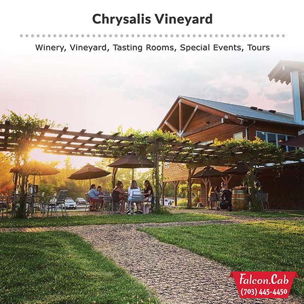 Falcon Cab & Falcon Tours - Chrysalis Vineyards