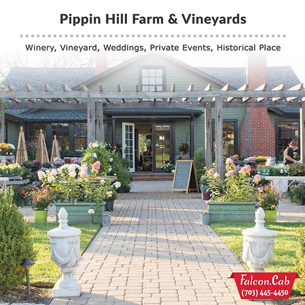 Falcon Cab & Falcon Tours - Pippin Hill Farm & Vineyards