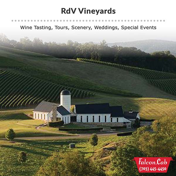 Falcon Cab & Falcon Tours - RdV Vineyards