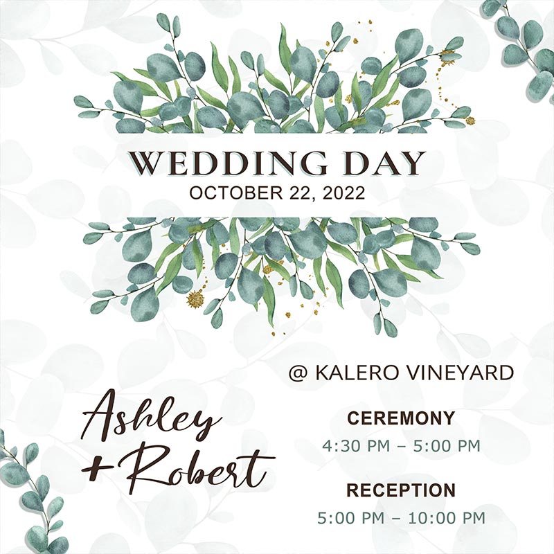 Wedding of Ashley Turner & Robert Gibbs